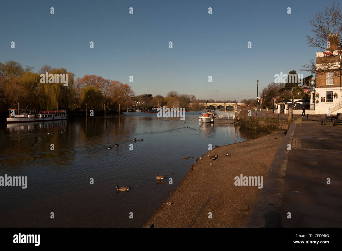 Richmond Riverside sul Fiume Tamigi,Richmond Upon Thames,Surrey, Inghilterra Foto Stock