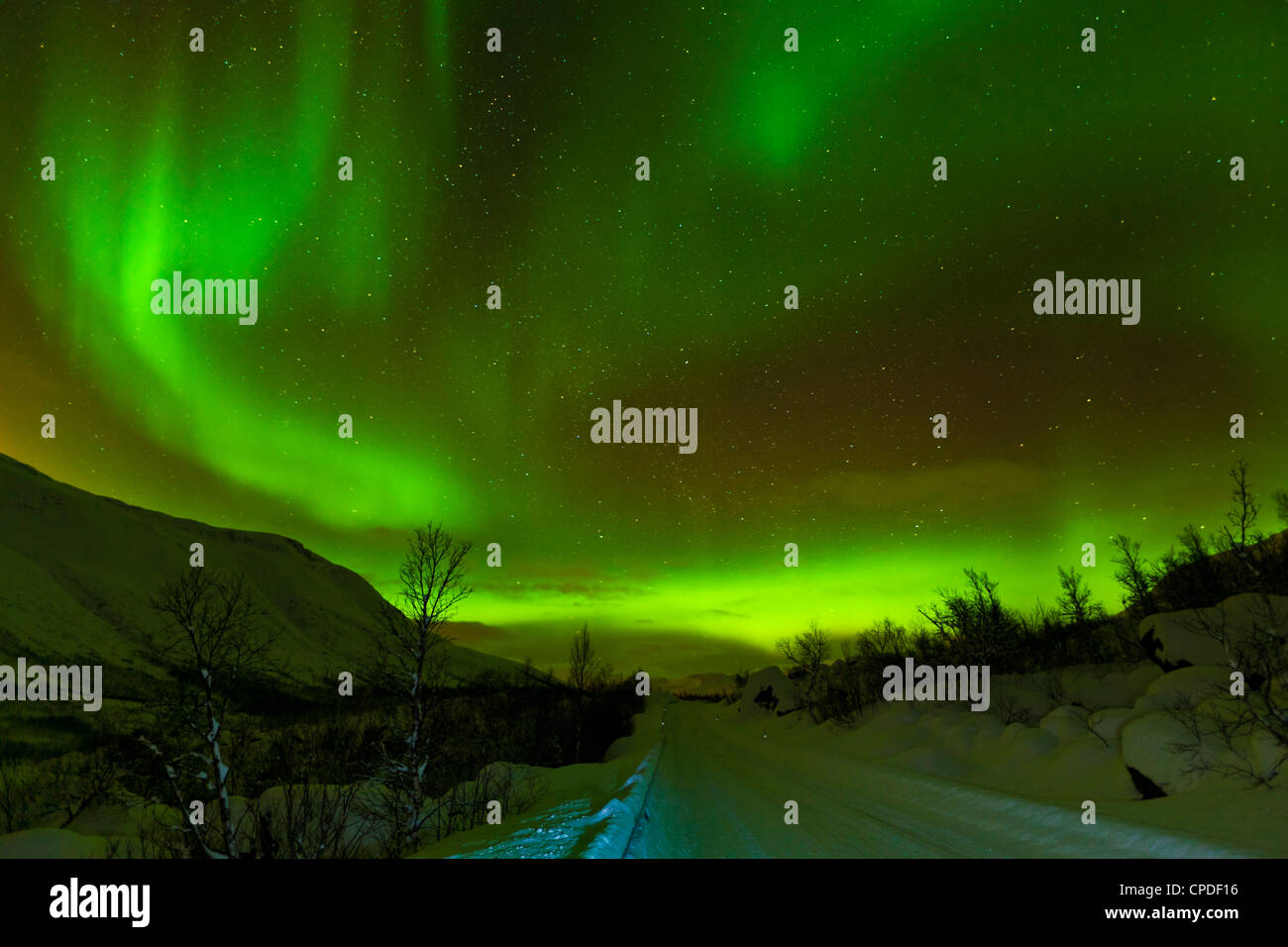 Aurora boreale (Northern Lights) visto su una coperta di neve road, Troms, Norvegia settentrionale, Scandinavia, Europa Foto Stock