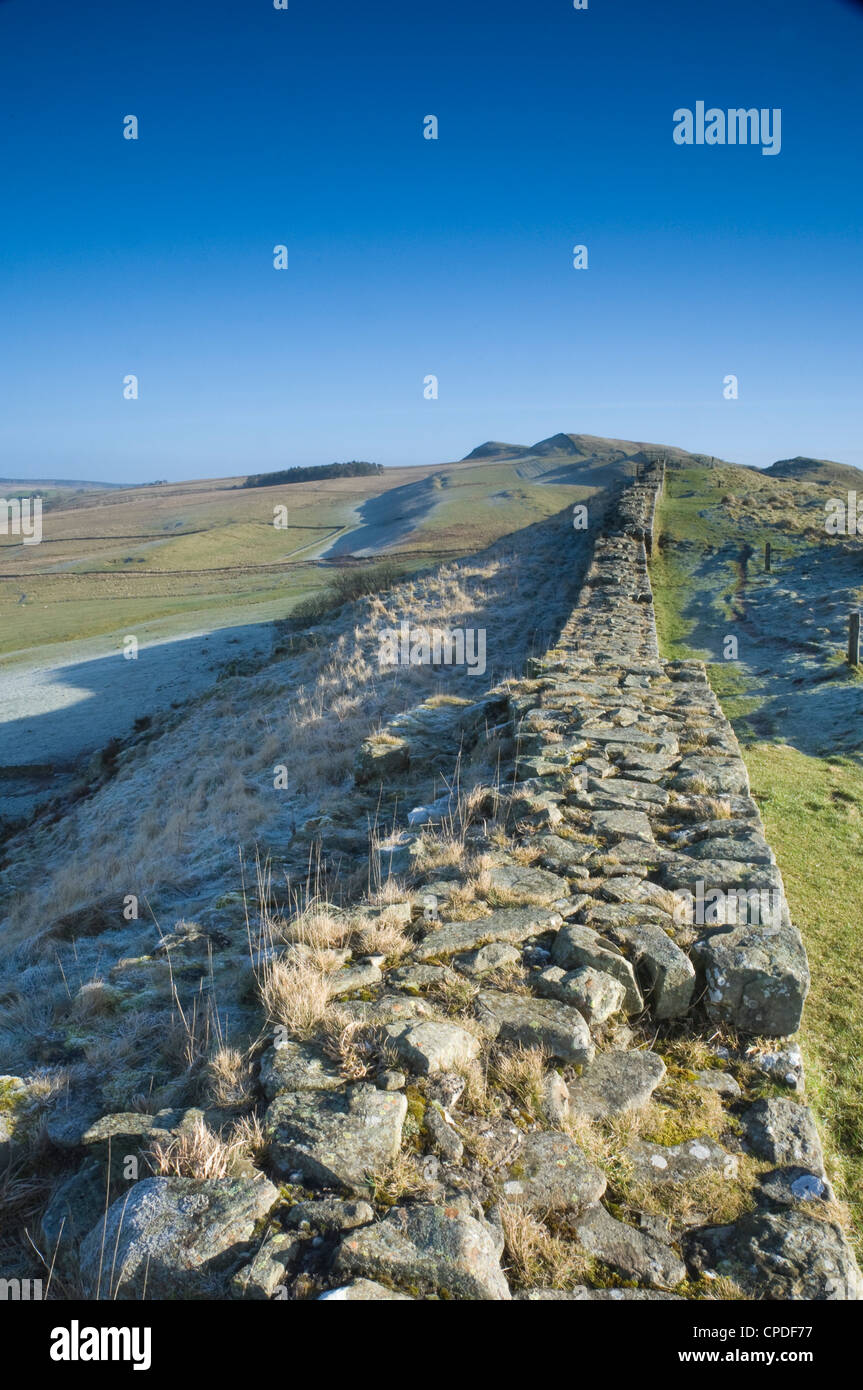 Una sezione della parete, muro di Adriano, parco nazionale di Northumberland, Northumbria, England, Regno Unito Foto Stock