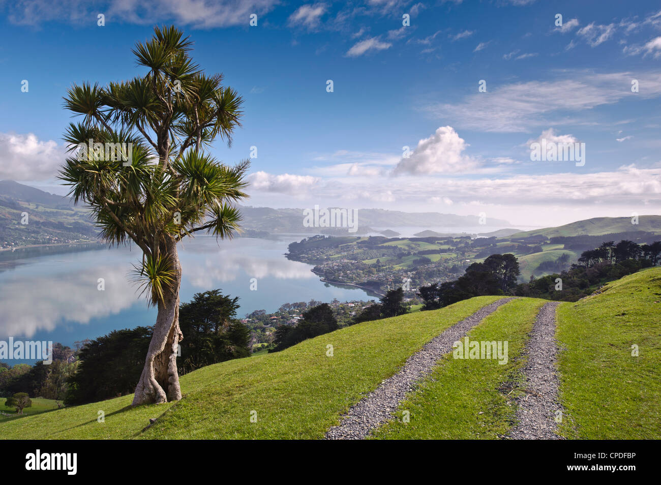 Porto di Otago, Penisola di Otago, Otago, South Island, in Nuova Zelanda, Pacific Foto Stock