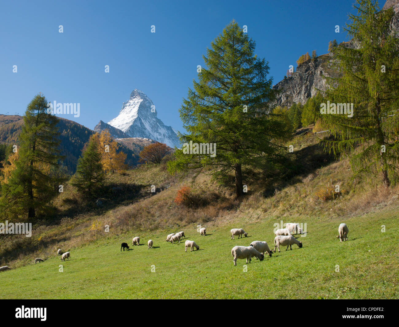 Zermatt, Vallese, alpi svizzere, Svizzera, Europa Foto Stock
