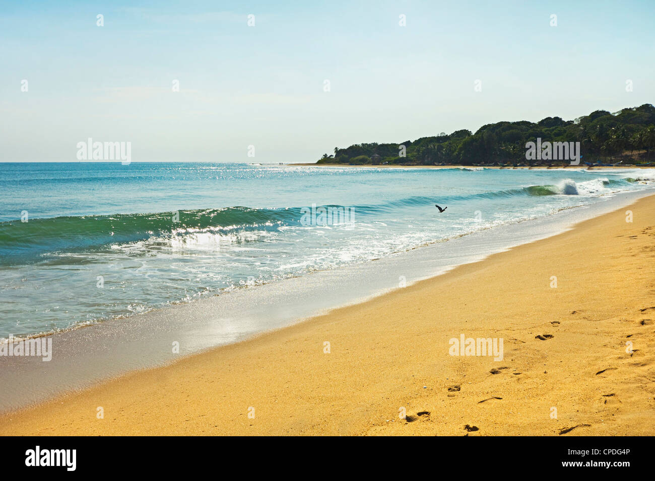 Vista verso il famoso punto di surf nella parte finale a sud di questa popolare spiaggia di pesca, Arugam Bay, Provincia Orientale, Sri Lanka, Asia Foto Stock