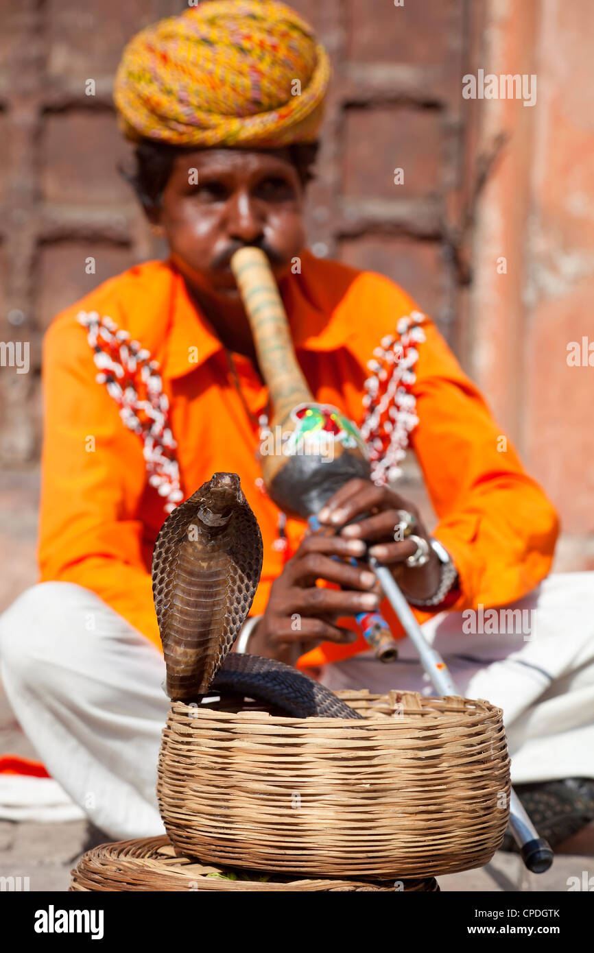 Cobra snake incantatore al di fuori del palazzo di città, Jaipur, Rajasthan, India, Asia Foto Stock