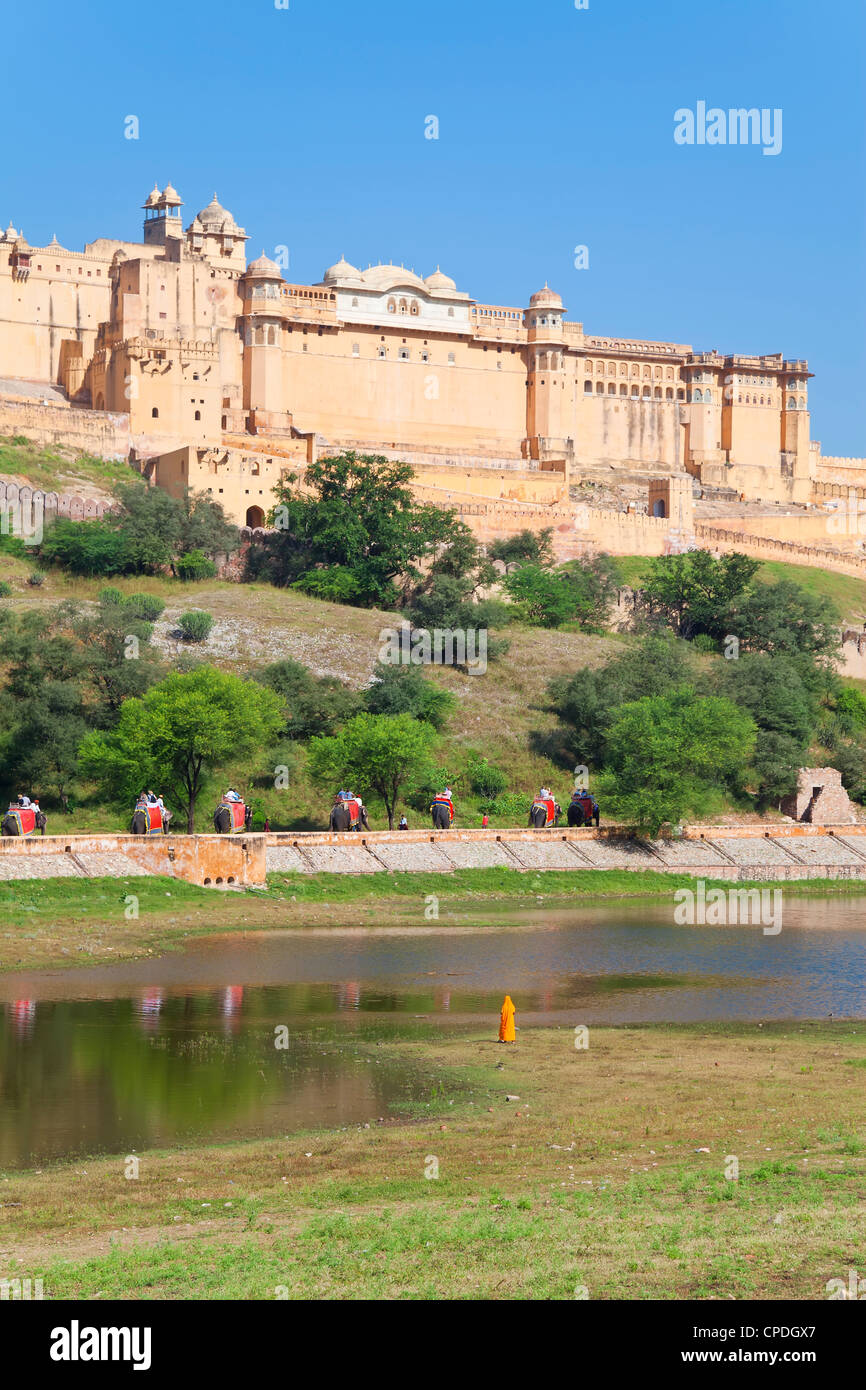 Gli elefanti di prendere i turisti per la Forte Amber vicino a Jaipur, Rajasthan, India, Asia Foto Stock