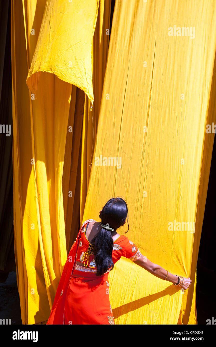 Donna in sari per controllare la qualità di fresco tessuto tinto appesi ad asciugare, Sari fabbrica di indumento, Rajasthan, India, Asia Foto Stock