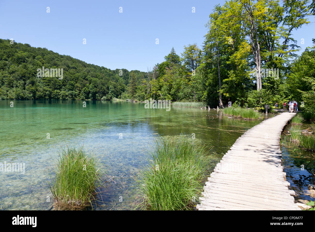 Il Parco Nazionale dei Laghi di Plitvice, patrimonio mondiale dell UNESCO, Croazia, Europa Foto Stock