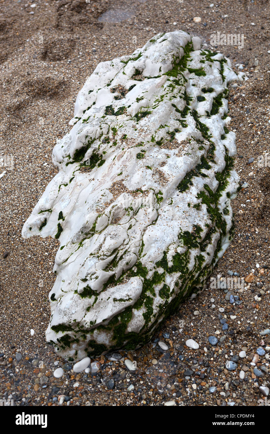 Faccia in pietra sulla spiaggia di Lulworth Cove Foto Stock