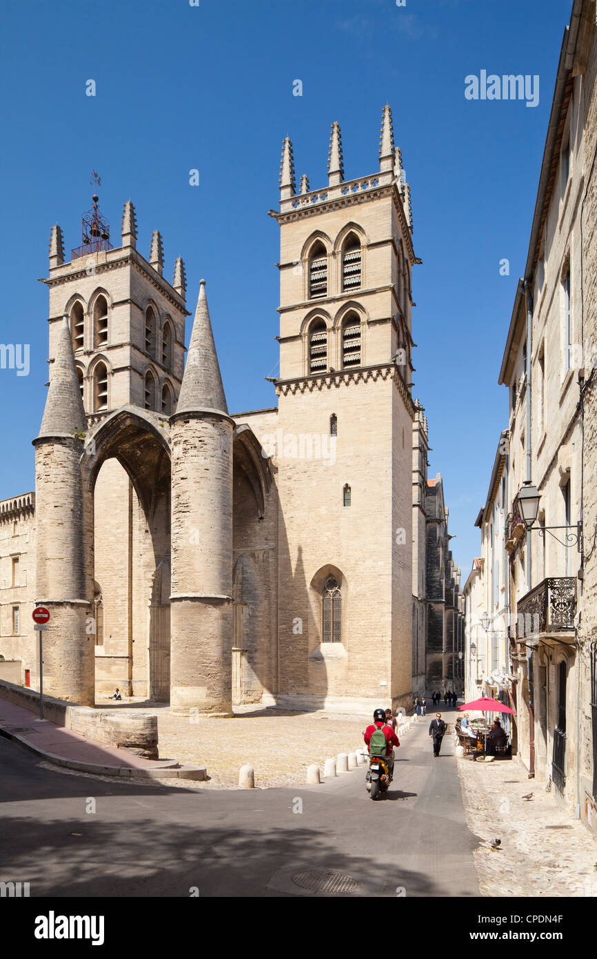 Una vista della Cattedrale di Montpellier, Montpellier, Languedoc-Roussillon, Francia, Europa Foto Stock