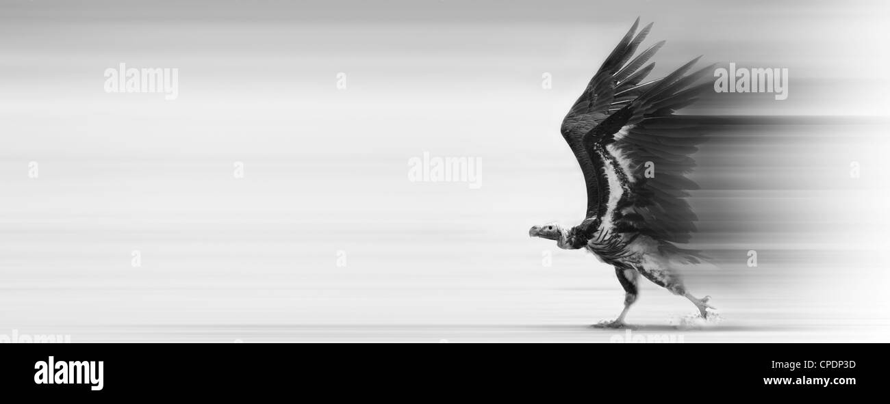 Concettuale - trasporto veloce / consegna su strada / aria Foto Stock