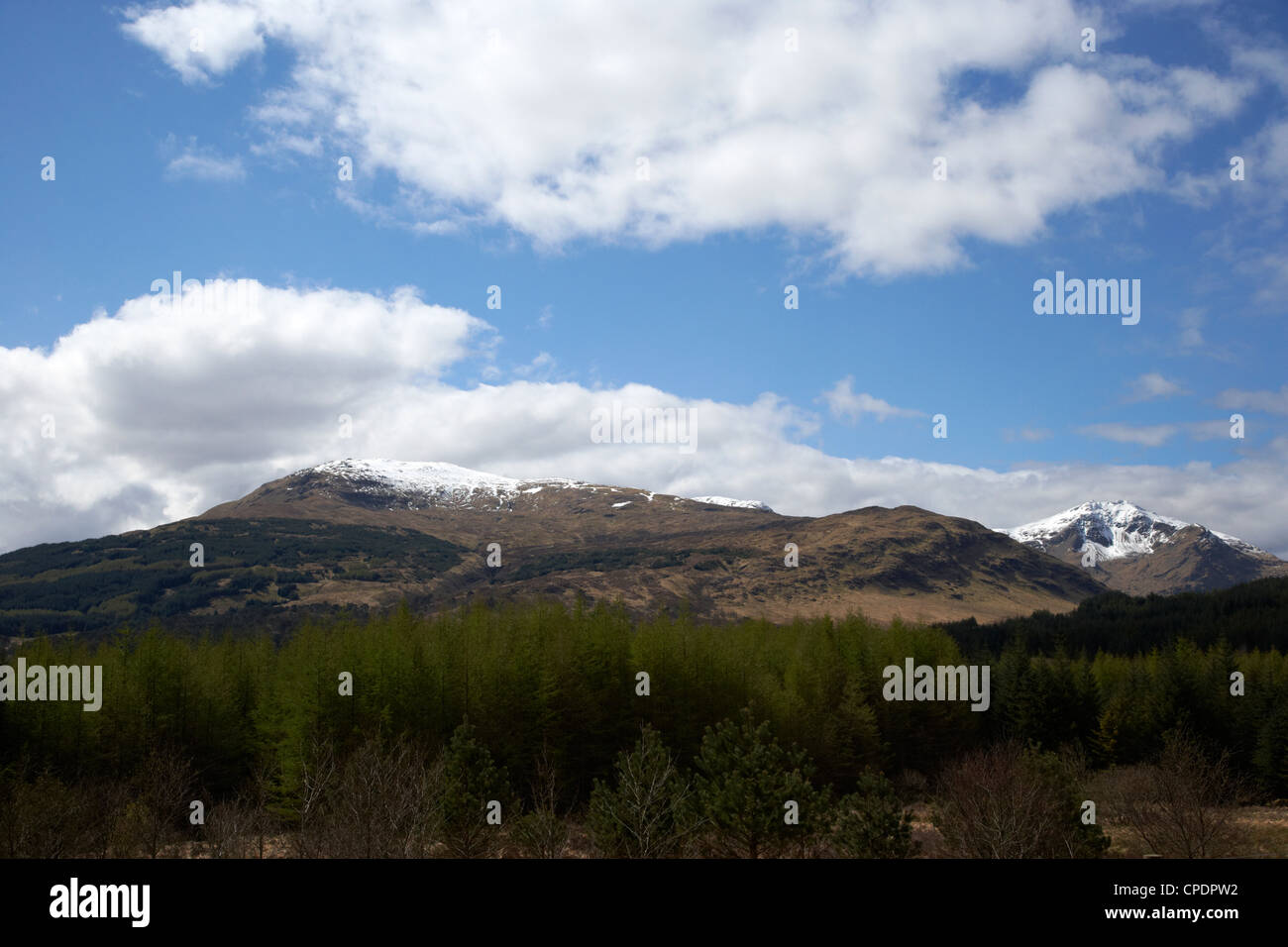 Foresta di conifere sotto Grampian Mountains nelle Highlands della Scozia UK Foto Stock