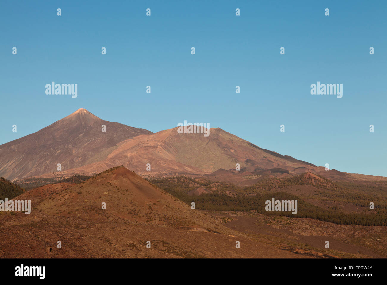 Tenerife il vulcano, il Pico del Teide sulla sinistra, Pico Viejo, sotto al centro, e Montana Bilma in basso a sinistra, Foto Stock