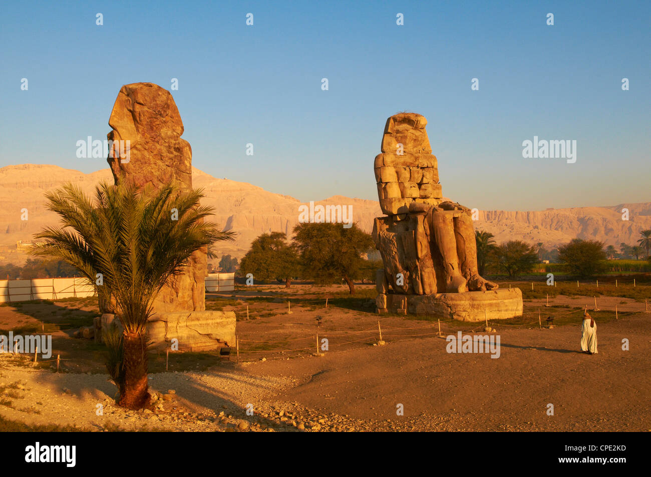 Colosso di Memnon, scolpiti per rappresentare la XVIII dinastia faraone Amenhotep III, a ovest del Fiume Nilo, Tebe, Egitto Foto Stock