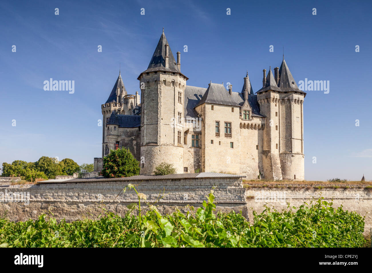 Il castello di Saumur, in una bella giornata d'estate. Foto Stock