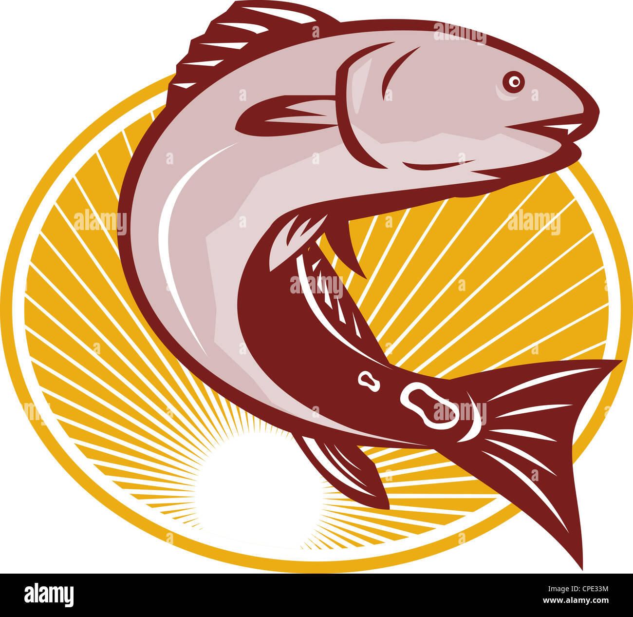 Illustrazione di un rosso spot del tamburo di coda di pesce bass fatto in stile retrò impostato all'interno del cerchio. Foto Stock
