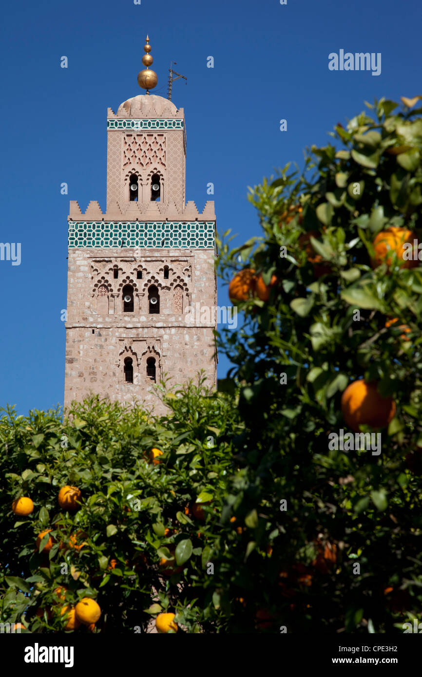 Minareto della Moschea di Koutoubia, Marrakech, Marocco, Africa Settentrionale, Africa Foto Stock