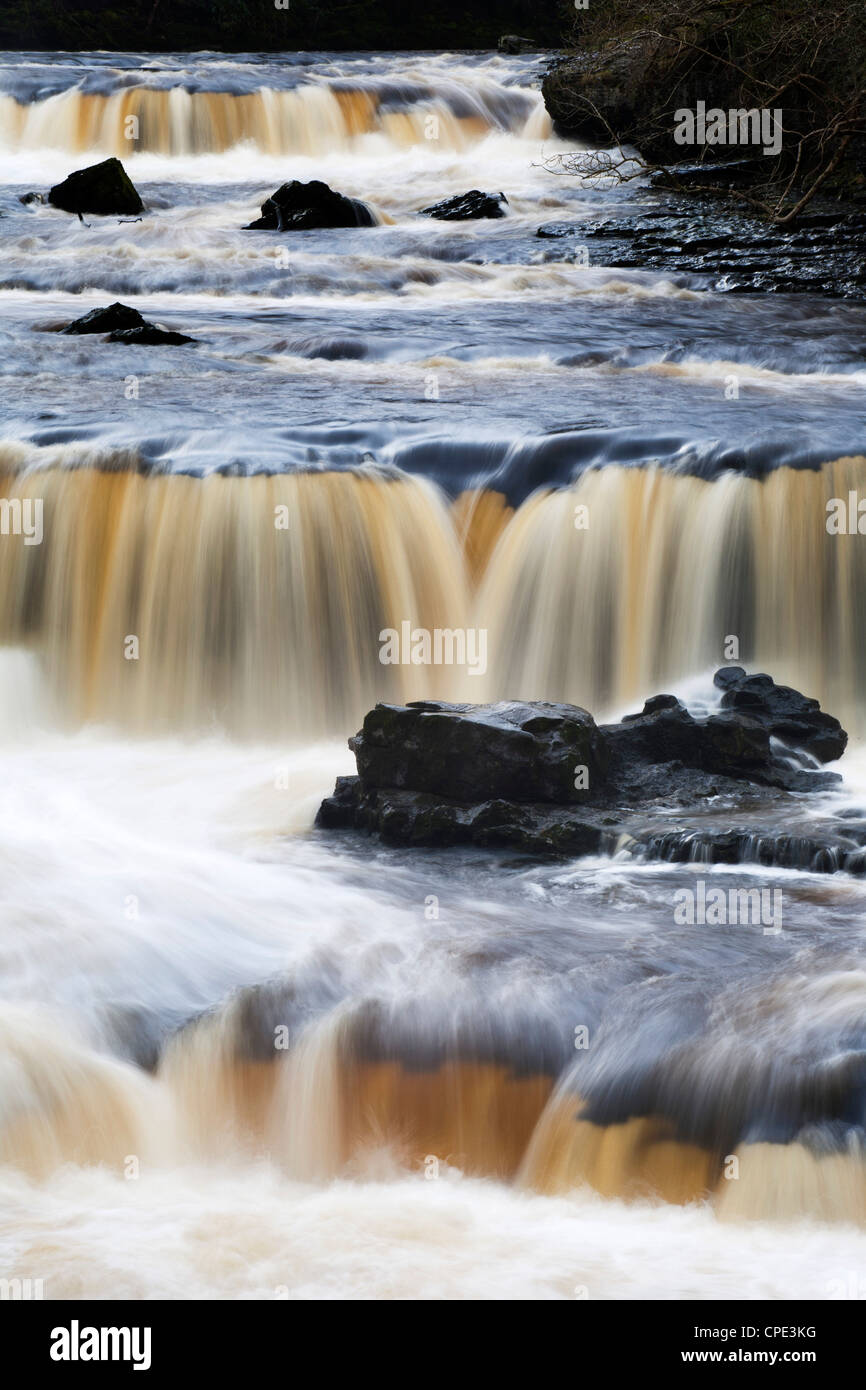 Tomaia Aysgarth Falls, Aysgarth, Yorkshire Dales, nello Yorkshire, Inghilterra, Regno Unito, Europa Foto Stock