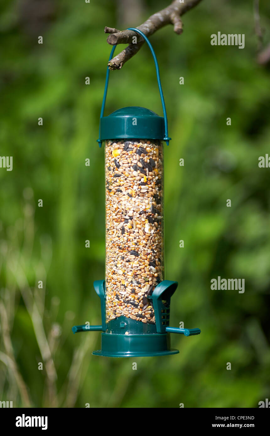 Plastica a buon mercato sementi bird feeder appesa in un giardino per attirare gli uccelli selvatici nel Regno Unito Foto Stock