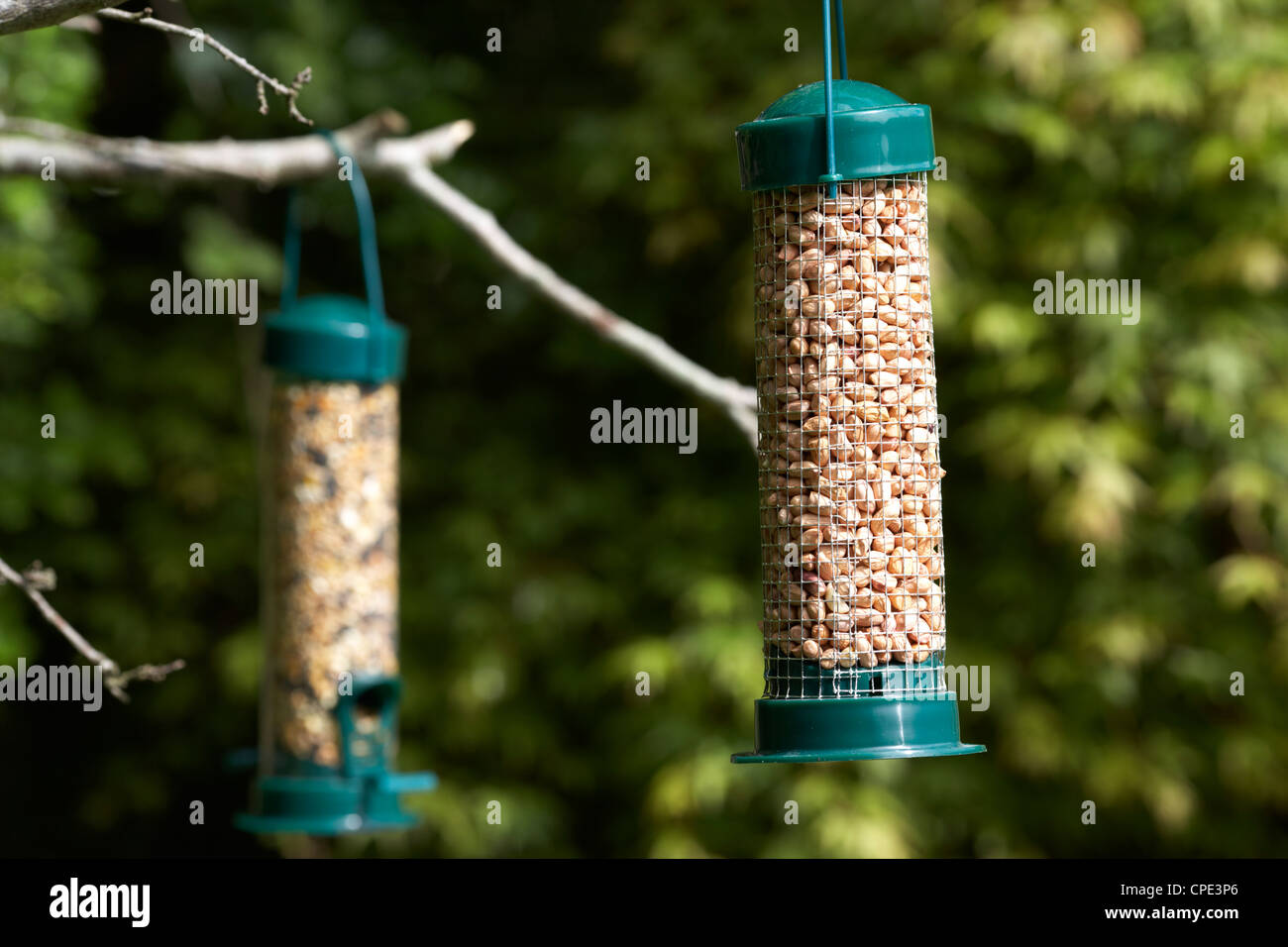 Plastica a buon mercato e di arachidi semi di alimentatori di uccelli appesi in un giardino per attirare gli uccelli selvatici nel Regno Unito Foto Stock