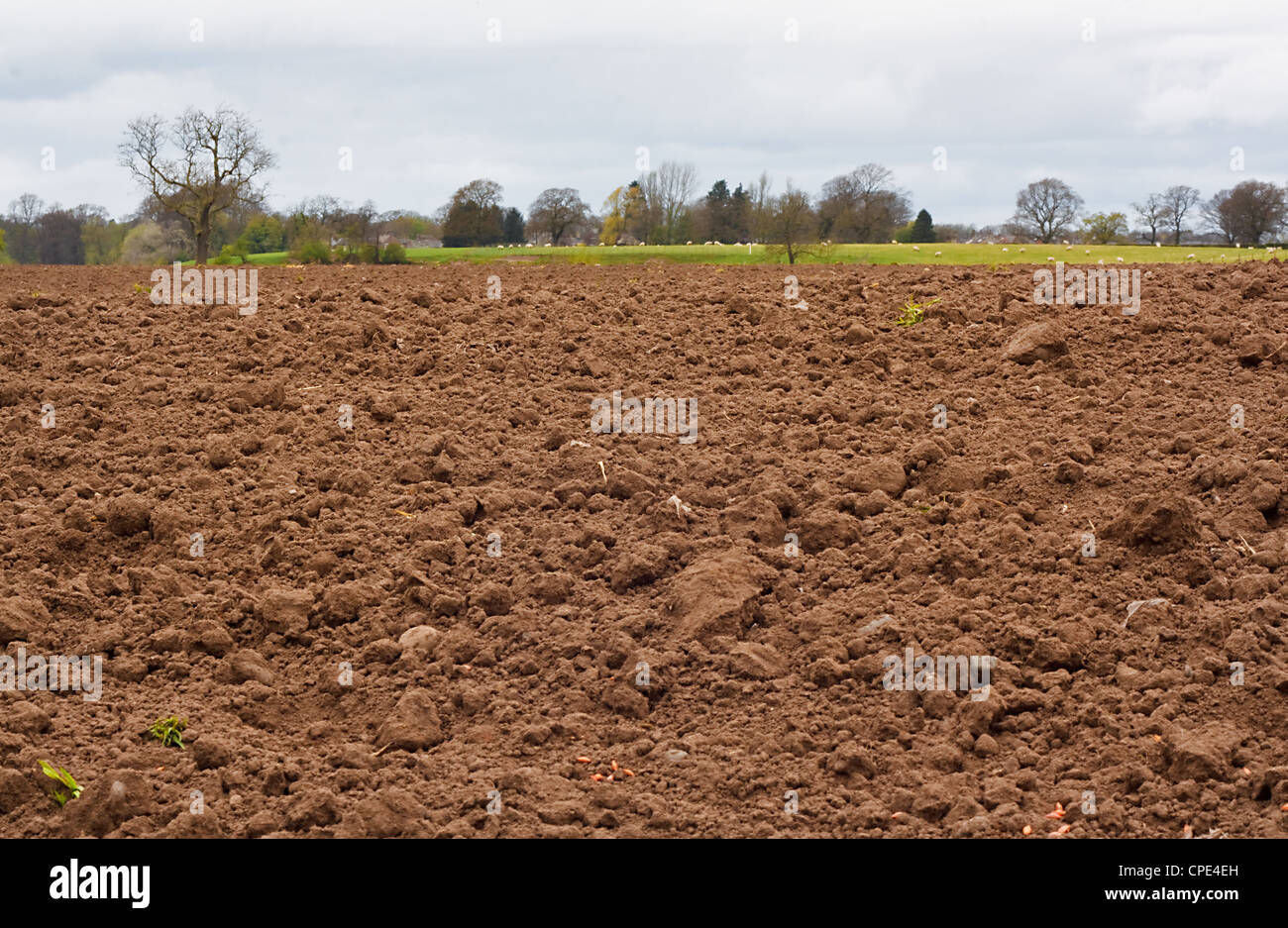 Appena scavato e recentemente seminato campo agricolo, buone premesse per l'agricoltura Foto Stock