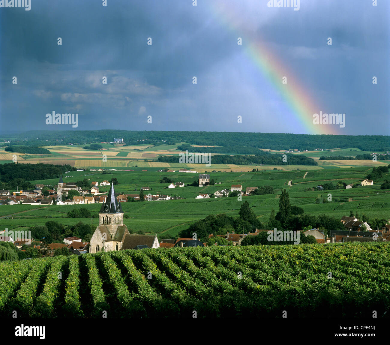 Vigneti Champagne e rainbow, Ville-Dommange, vicino a Reims, Champagne, Francia, Europa Foto Stock