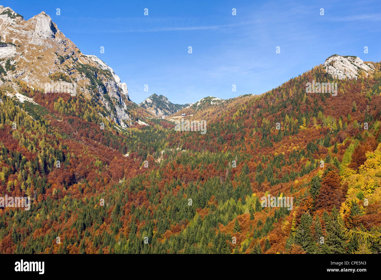 Autunno alle pendici del Vrsic pass nelle Alpi Giulie, Gorenjska, Slovenia, Europa Foto Stock