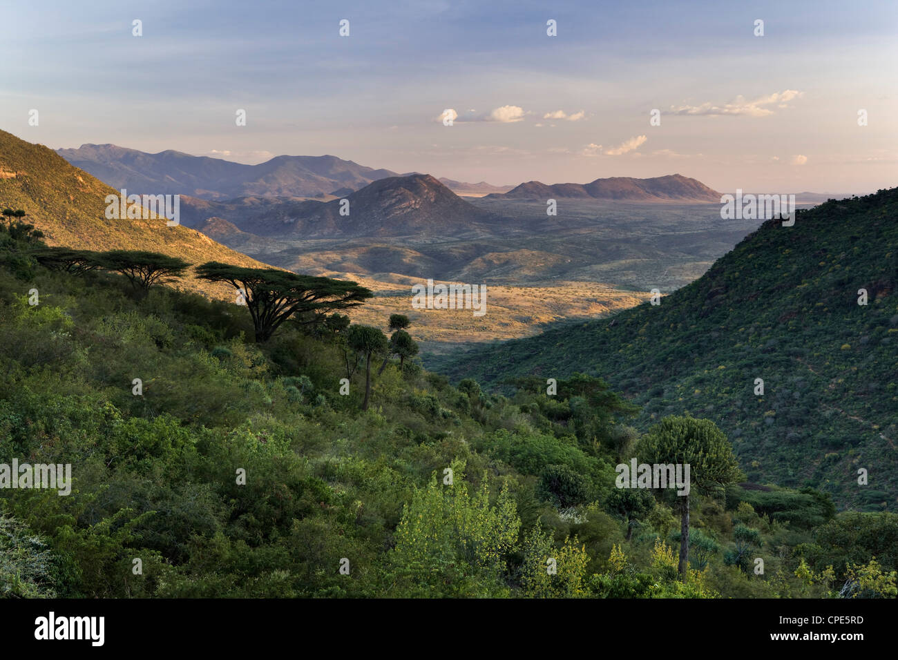 Guardando verso il basso al di sopra del Ewaso Rongai valle dalle pendici meridionali del Monte Nyiru appena prima del tramonto, la frontiera settentrionale, Kenya Foto Stock