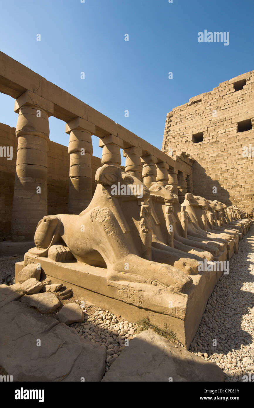 Sfingi dalla testa d'ariete al di là del primo pilone al Tempio di Karnak, Karnak, Tebe, Sito Patrimonio Mondiale dell'UNESCO, Egitto, Africa Foto Stock