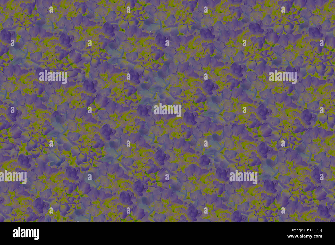 Arte sfondo con fiori , abstract wallpaper Foto Stock