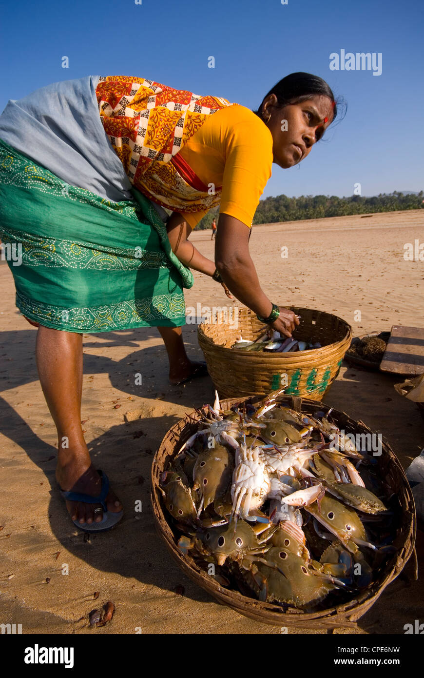 Donna di cattura di smistamento, Agonda Beach, Goa, India, Asia Foto Stock
