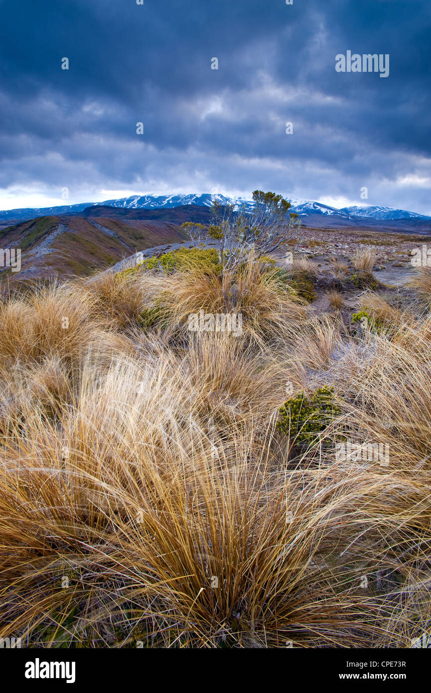 Parco nazionale di Tongariro, Sito Patrimonio Mondiale dell'UNESCO, Isola del nord, Nuova Zelanda, Pacific Foto Stock