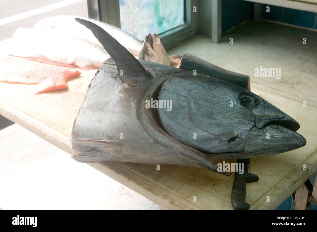 Il grande pesce pesci tonno la pesca mediterranea bistecche di manzo ceppo morti freschi Foto Stock