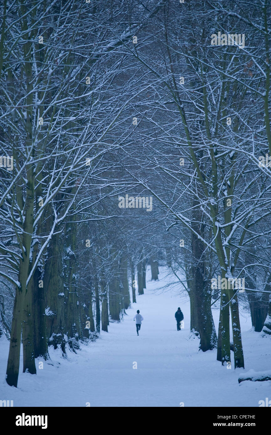 Hampstead Heath in inverno, London, England, Regno Unito, Europa Foto Stock