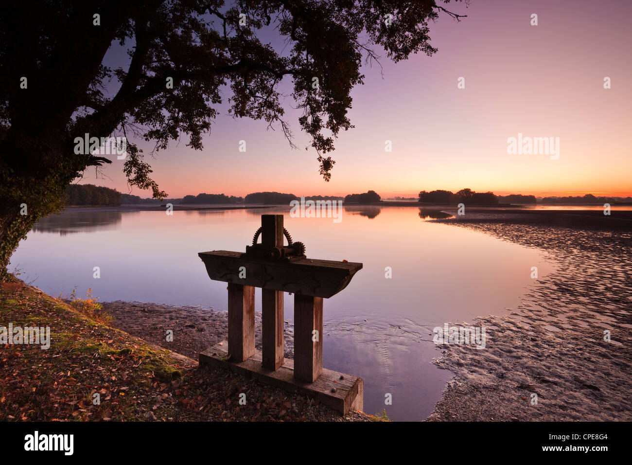 Un laghetto (etang ) nel parco naturale di La Brenne (Pays aux Mille Etangs), Indre, Valle della Loira, Centro, Francia Foto Stock