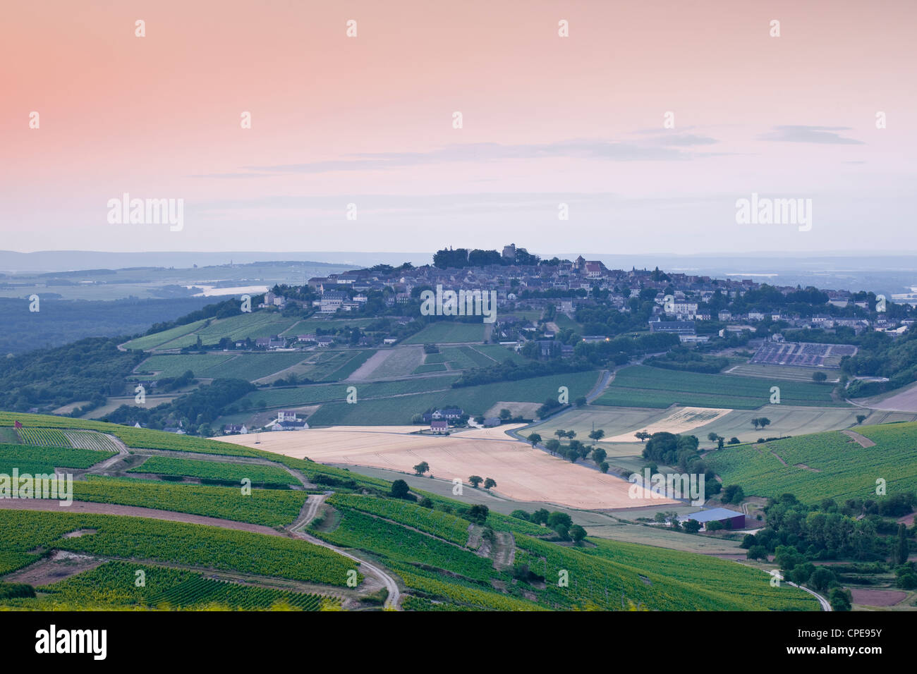 Guardando attraverso i vigneti di Sancerre, Cher, Valle della Loira, Centro, Francia, Europa Foto Stock