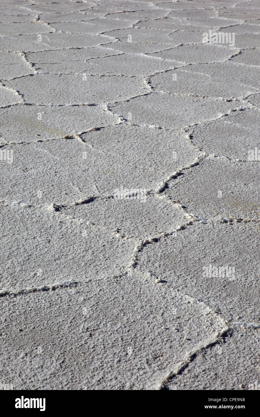 Salar de Uyuni, Bolivia, Sud America Foto Stock