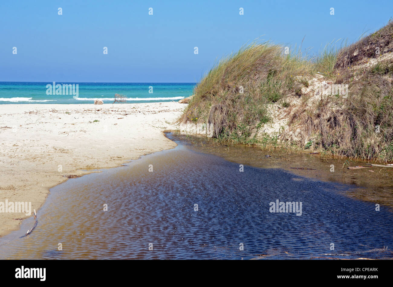 Spiaggia Di Torre Guaceto Puglia Italia Foto Immagine