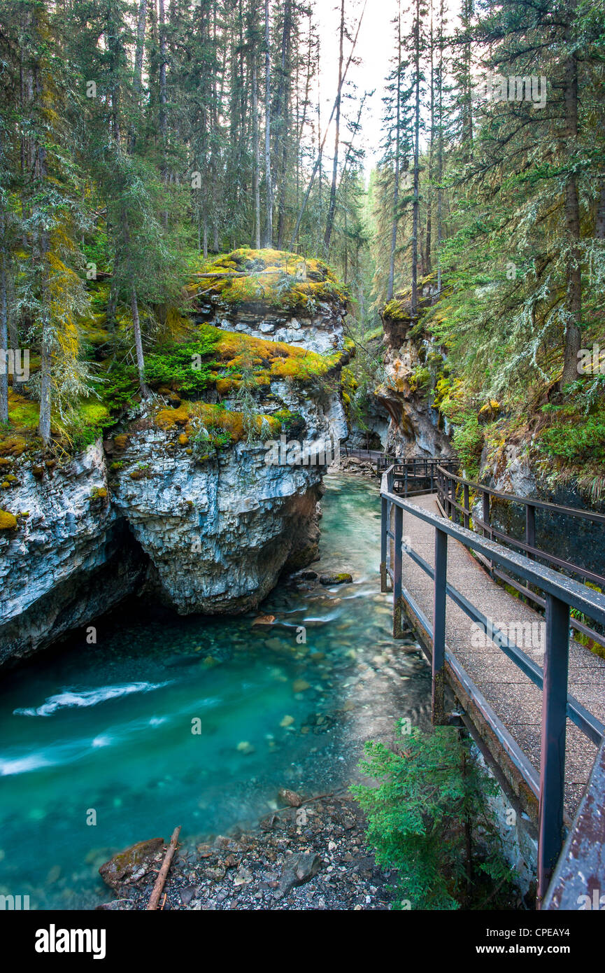 Johnston Canyon, il parco nazionale di Banff, Canada Foto Stock