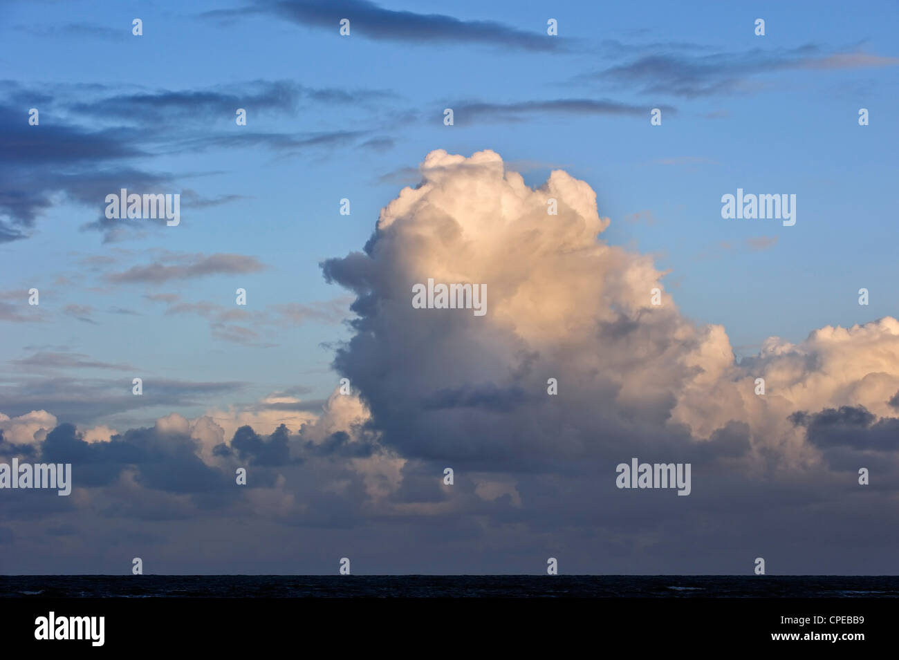 Cumulus congestus / torreggianti cumulus nuvole sopra il mare formato mediante lo sviluppo di cumulus mediocris Foto Stock