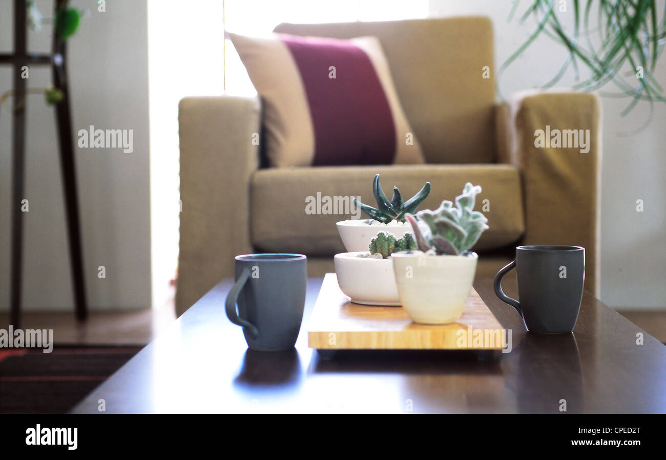 Tazze e piccole piante in vaso sul tavolo Foto Stock