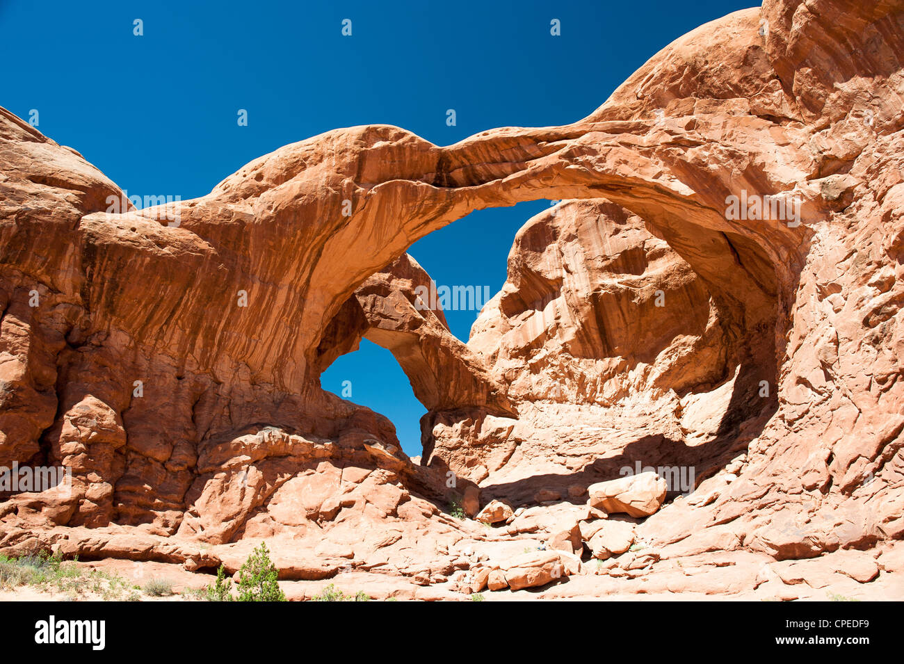 Il doppio arco, Arches National Park, Moab, Utah, Stati Uniti d'America Foto Stock