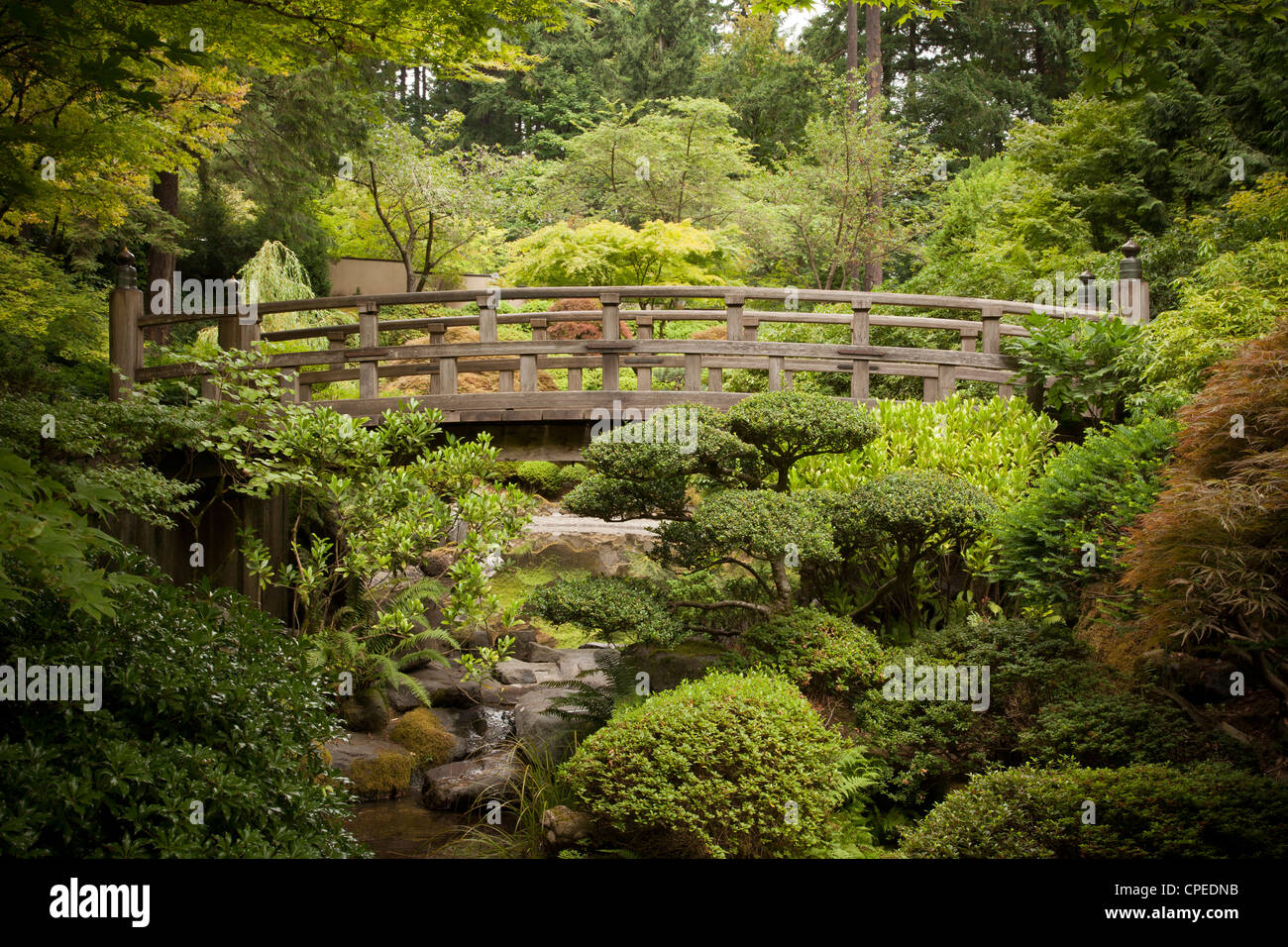 Ponte della Luna a Portland giardino giapponese. Foto Stock