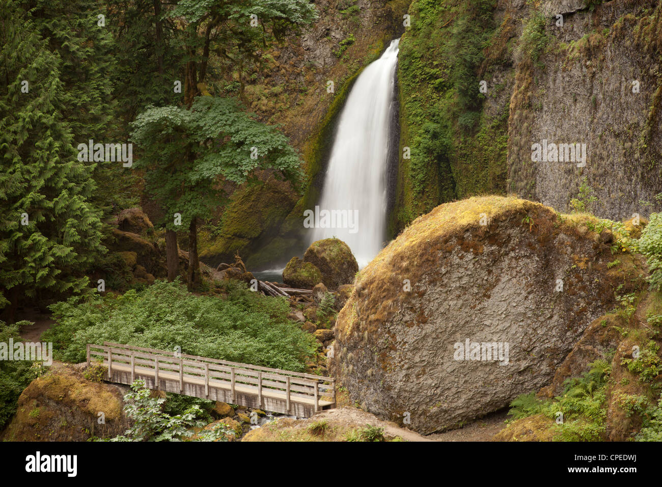 Wahclella Falls. La Columbia River Gorge, Oregon. Foto Stock