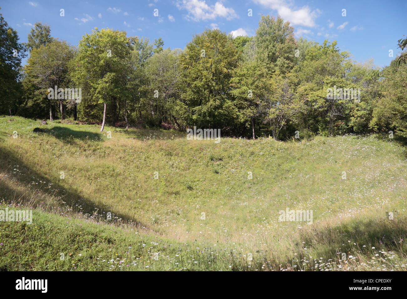 Una miniera enorme cratere a Les Eparges ridge, dipartimento della Mosa in Lorena, Francia. Foto Stock