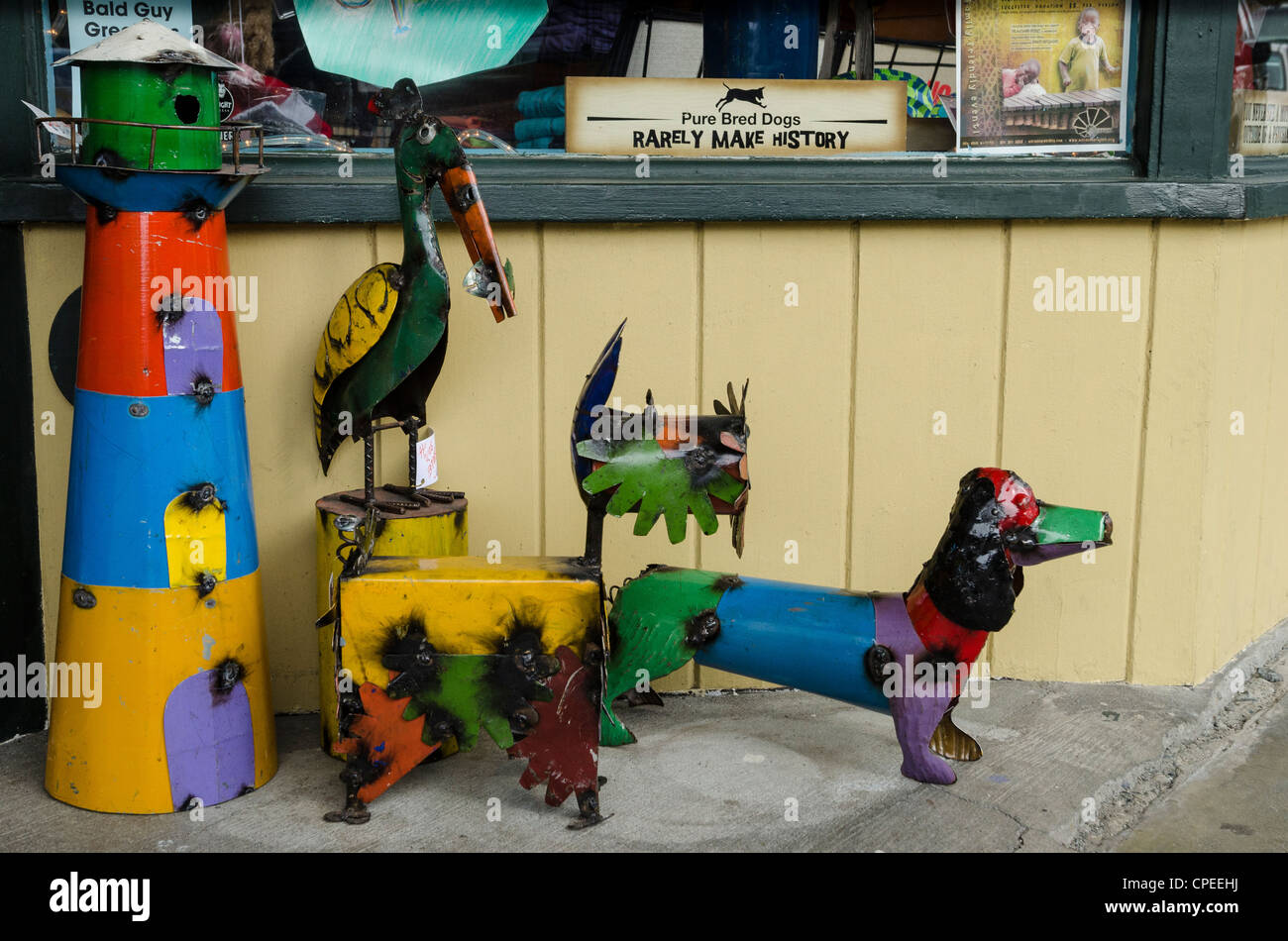 Di pura razza cani raramente fanno la storia, al di fuori del negozio in Coupeville, Washington, Stati Uniti d'America Foto Stock