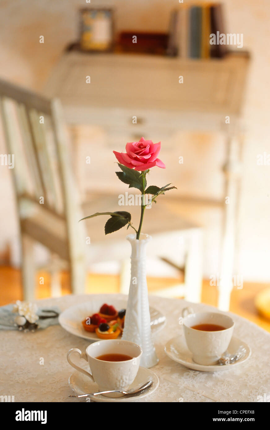 Rosa rosa in vaso sul tavolo da pranzo Foto Stock