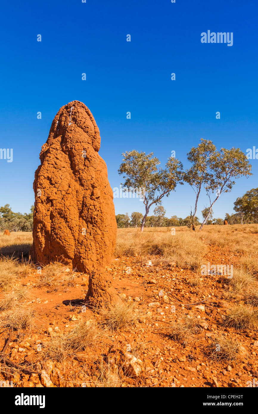 Un grande tumulo termite nella regione di Kimberley del Western Australia. Foto Stock
