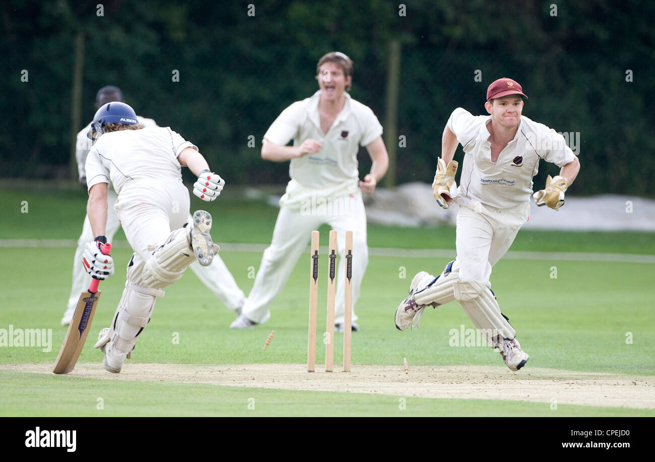 Local partita di cricket in Inghilterra del sud. Foto di James Boardman. Foto Stock