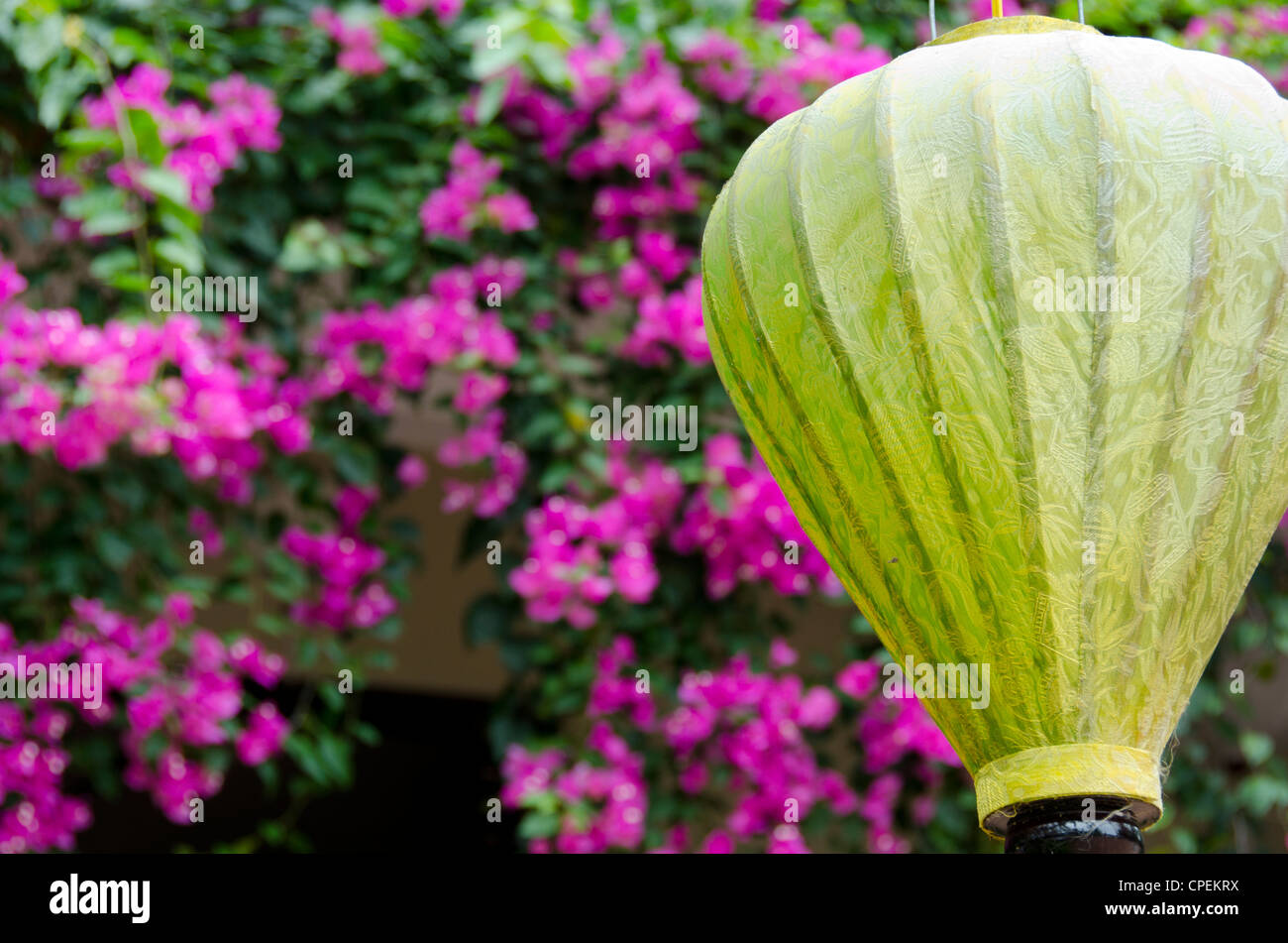 Il Vietnam, da nang area, nel centro storico della città di Hoi An. tradizionali asiatici giardino con colorate lanterne pendenti & rosa bougainvillea. Foto Stock
