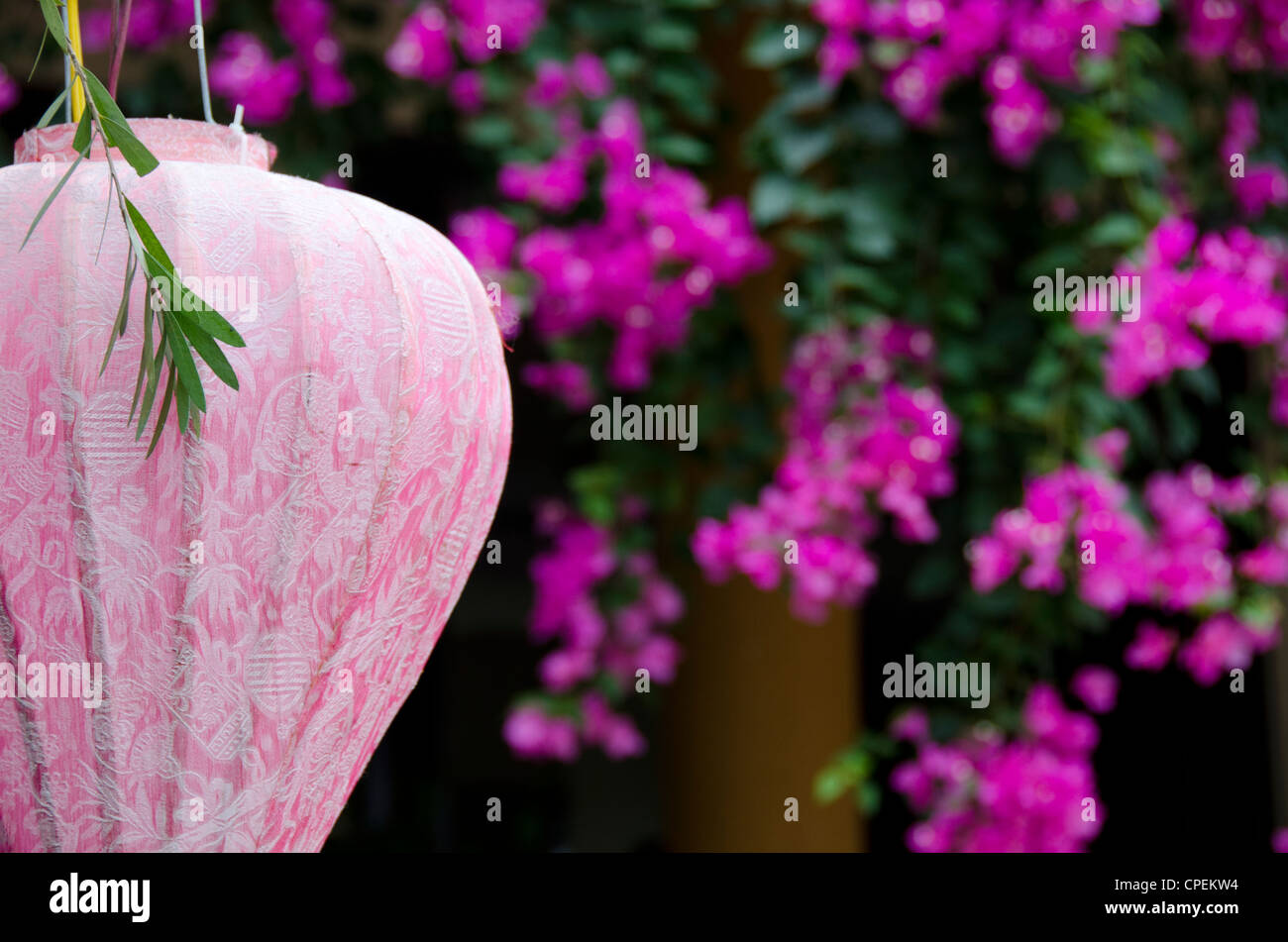Il Vietnam, da nang area, nel centro storico della città di Hoi An. tradizionali asiatici giardino con colorate lanterne pendenti & rosa bougainvillea. Foto Stock