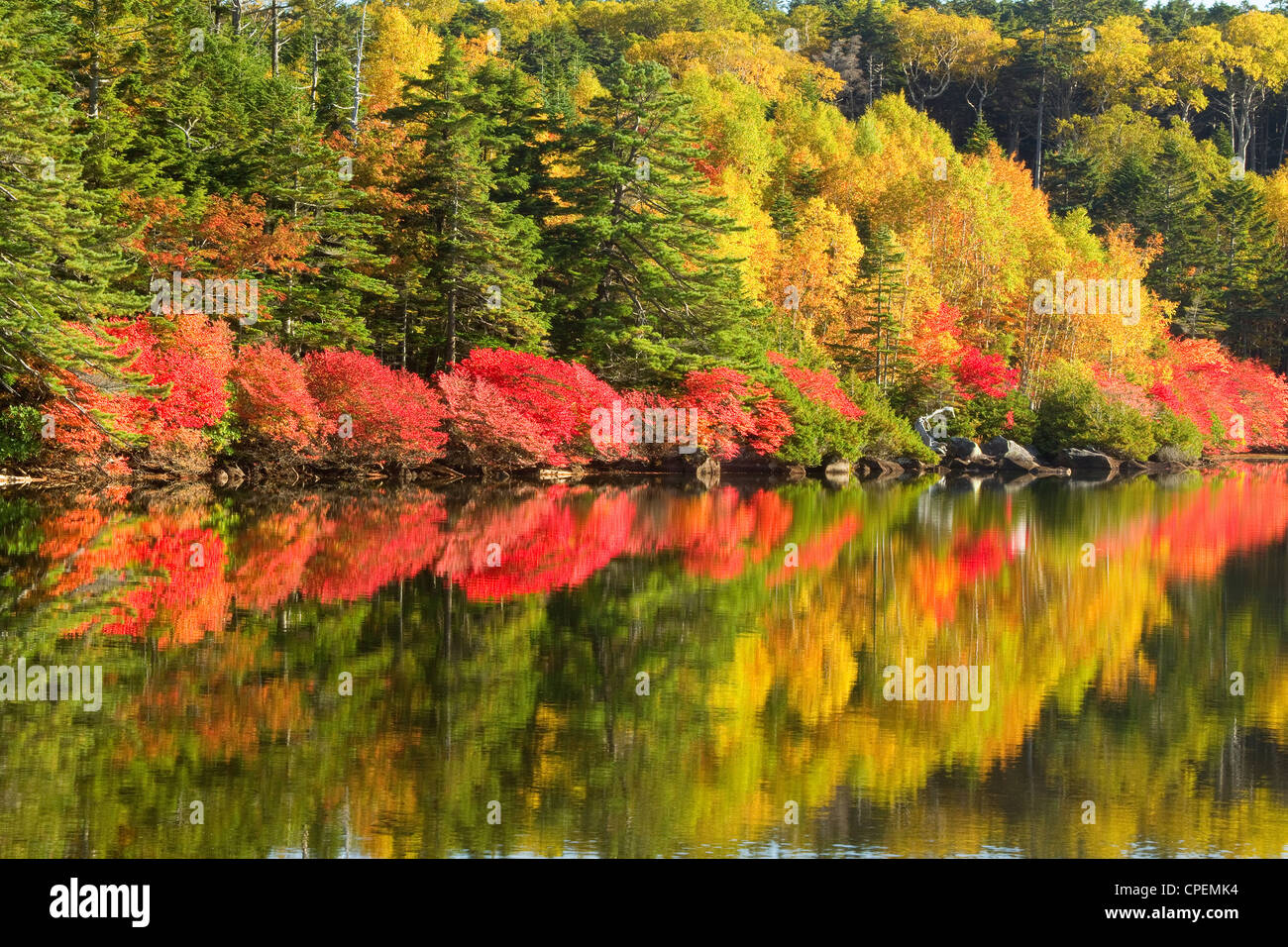 La riflessione di alberi di autunno nel lago Foto Stock